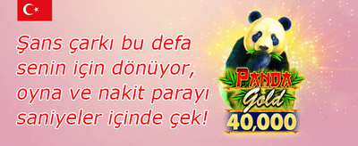 İlk Yatırıma %100 Bonus promotion